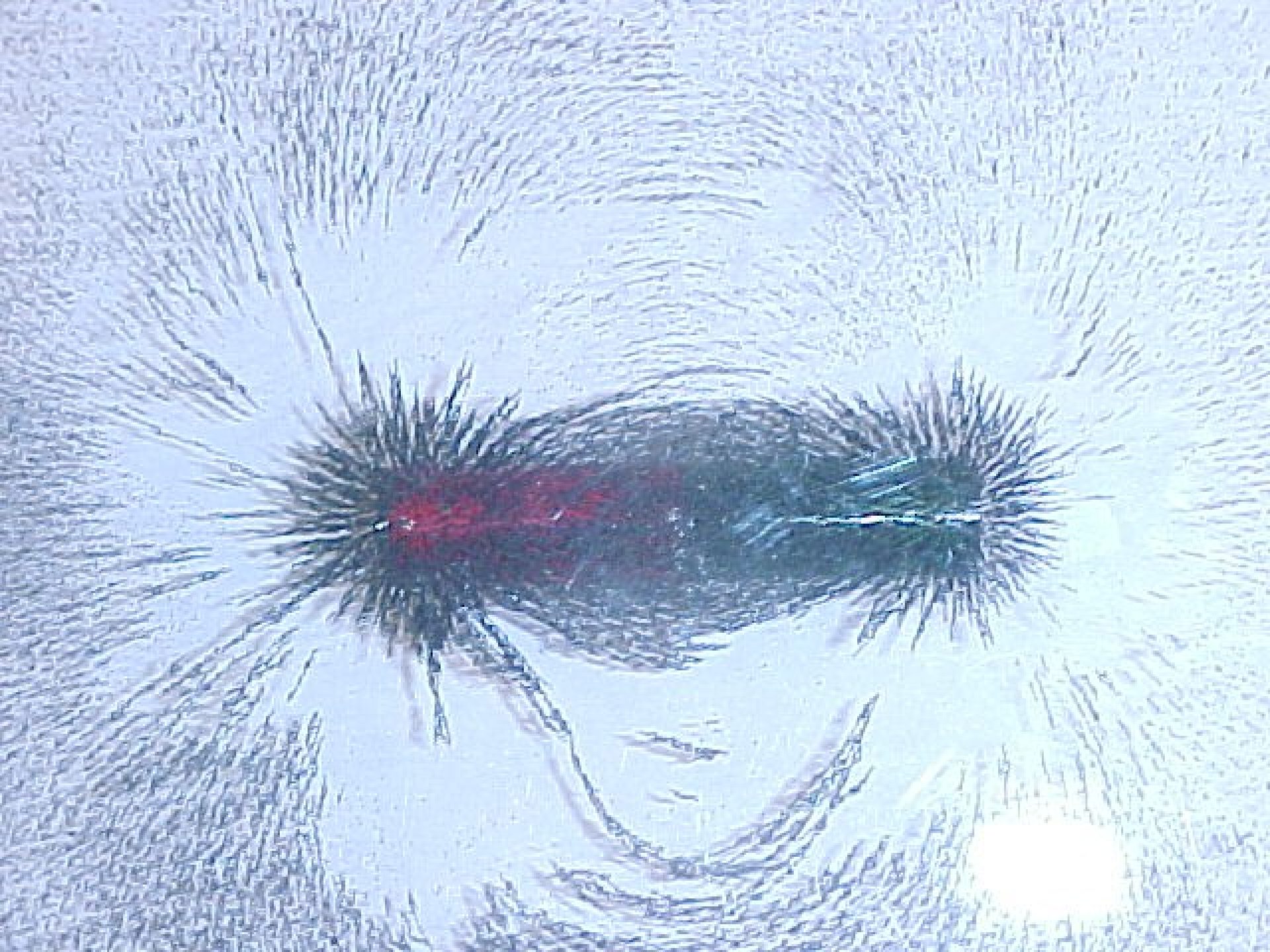 B-S1 : 2D Magnetic Field Lines