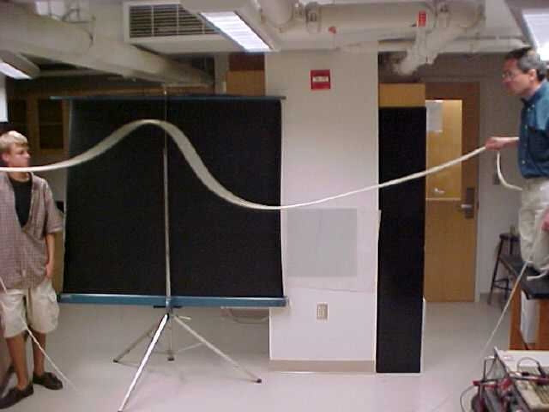 Pulse on String