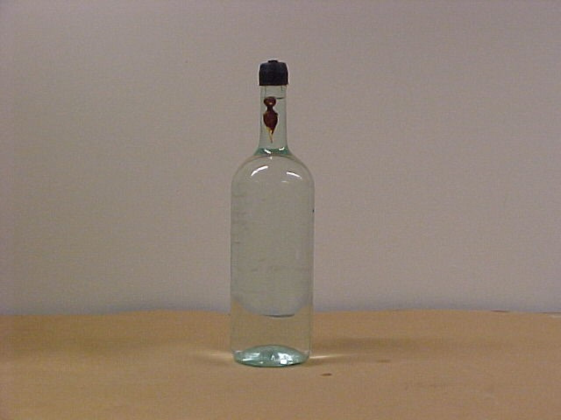 Cartesian Diver