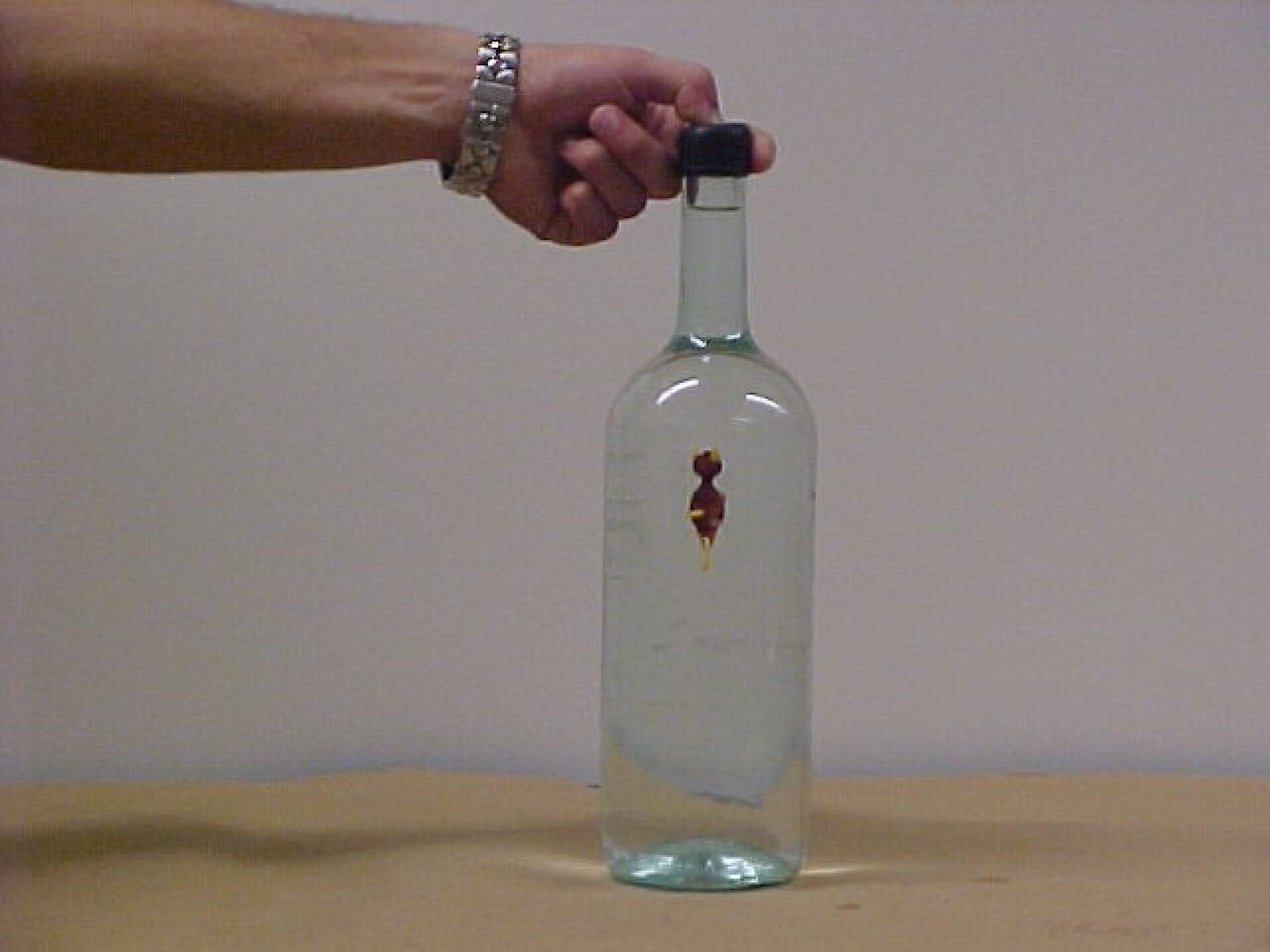 Cartesian Diver