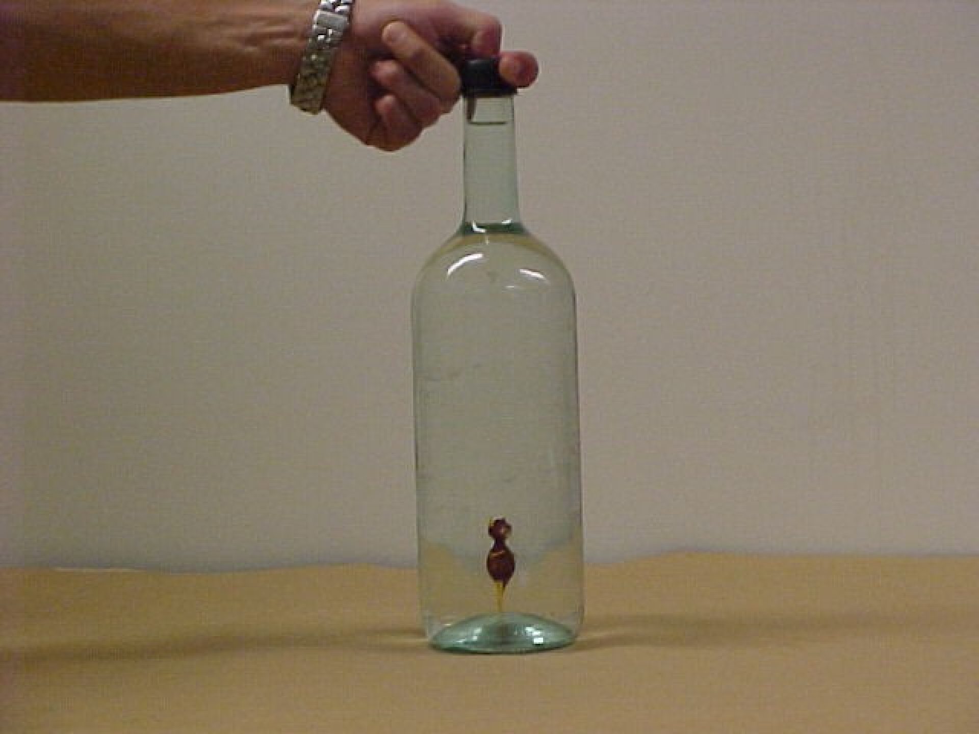 Cartesian Diver