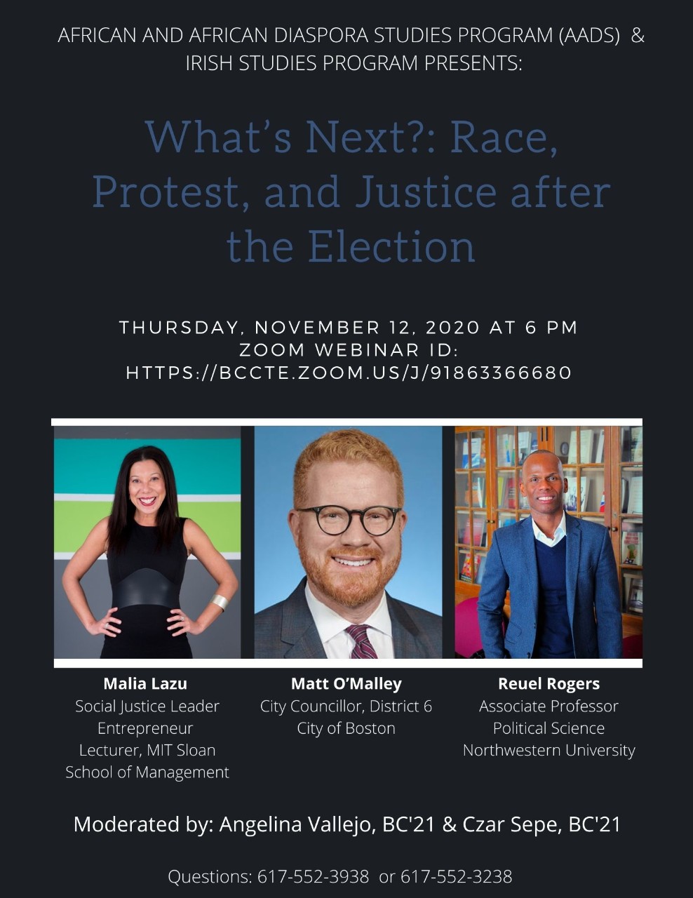 Photo of Post Election Webinar