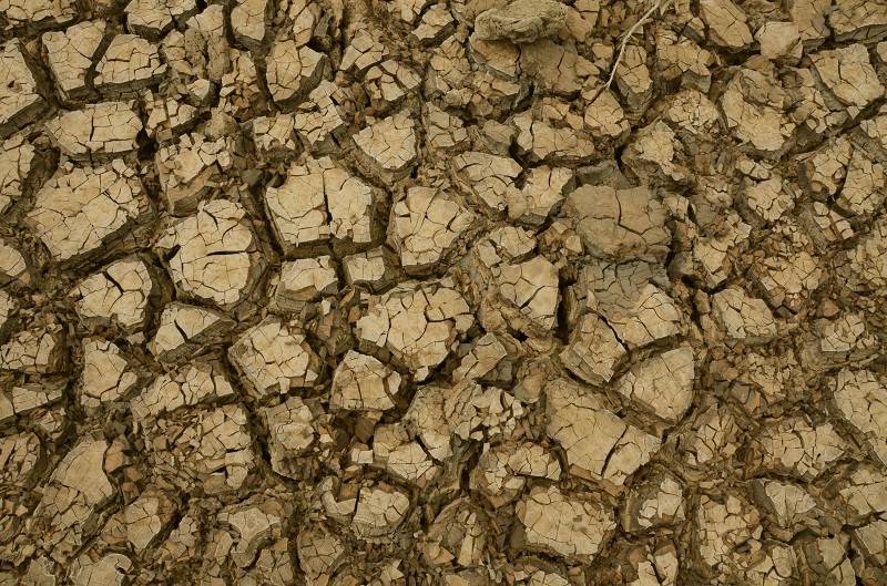 Photo of Cracking earth