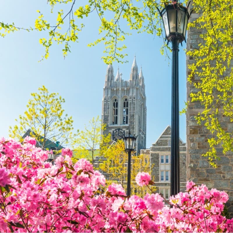 BC Campus in Spring 