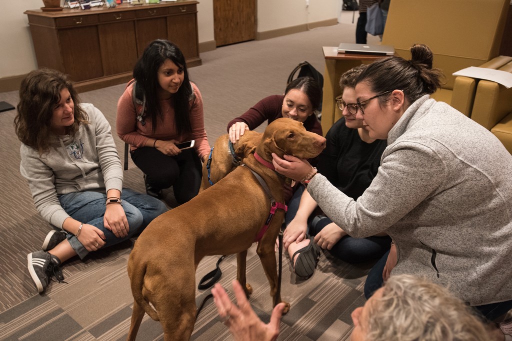Therapy dogs at the School of Social Work Library
