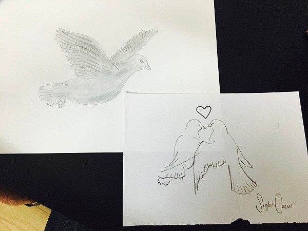 Drawings of doves