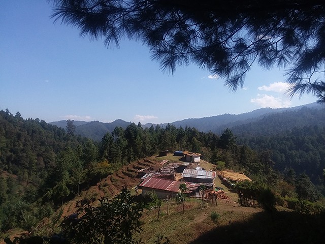 Farm near Quetzaltenango, Guatemala