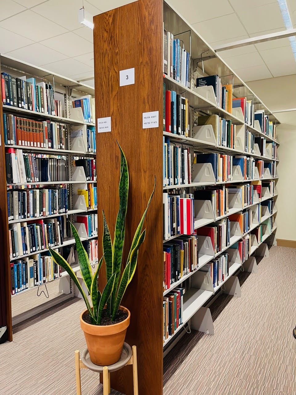 A big shelf with hundreds of books