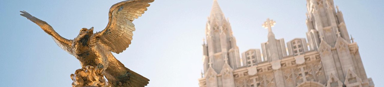 Photo of Gasson Eagle Small Hero