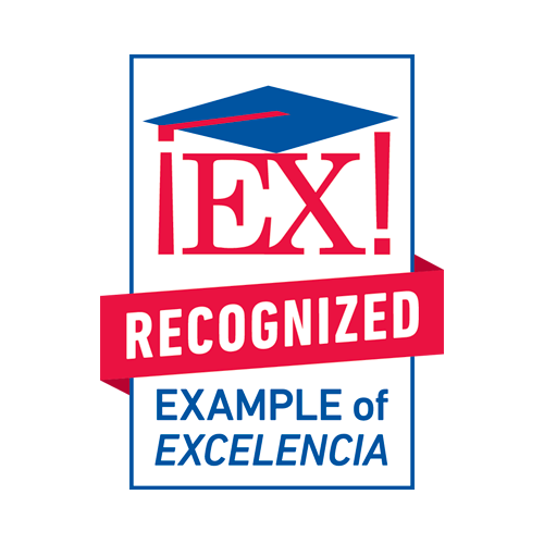 Example of Excelencia