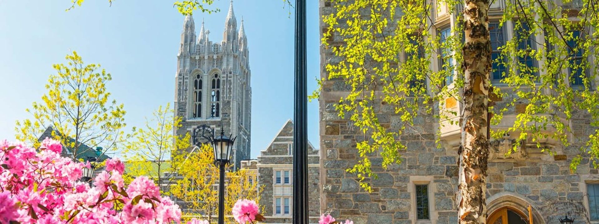 Gasson in June