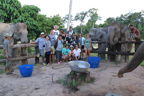 Elephants_600x400 Making new friends while volunteering at a local wildlife conservation park.