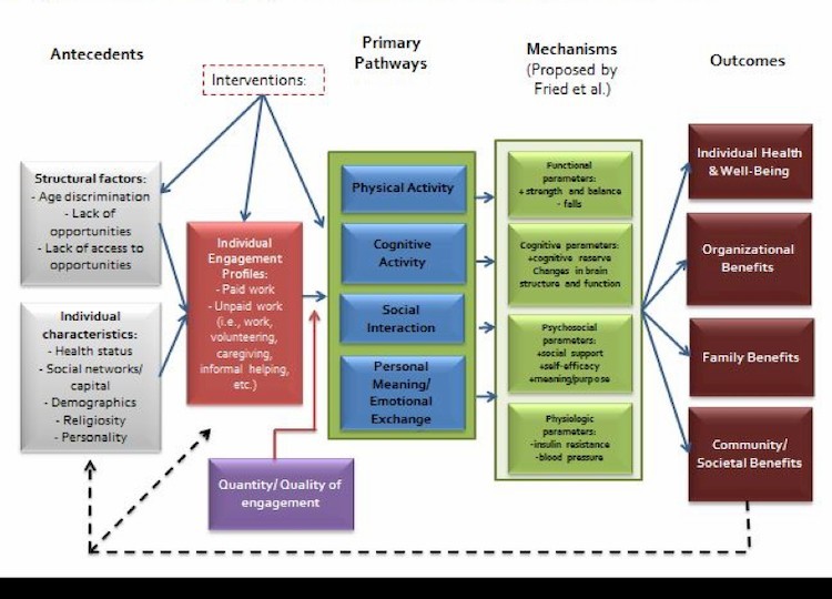 Conceptual Model of Engagement in Paid and Unpaid Work in Later Life