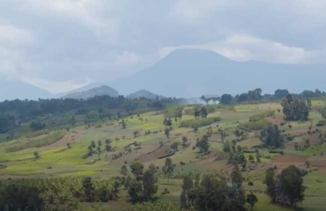 Sugira Muryango