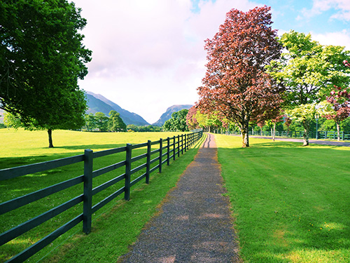 Gravel path along a pasture fence with trees and hills in the background