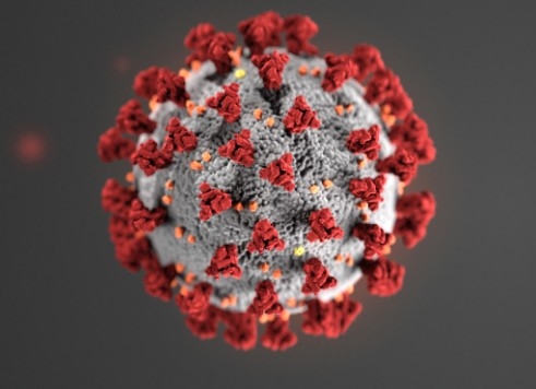 Photo of Coronavirus