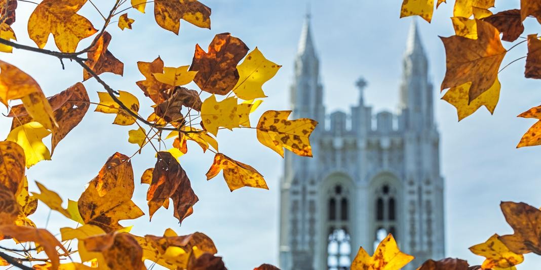 Photo of Gasson tower