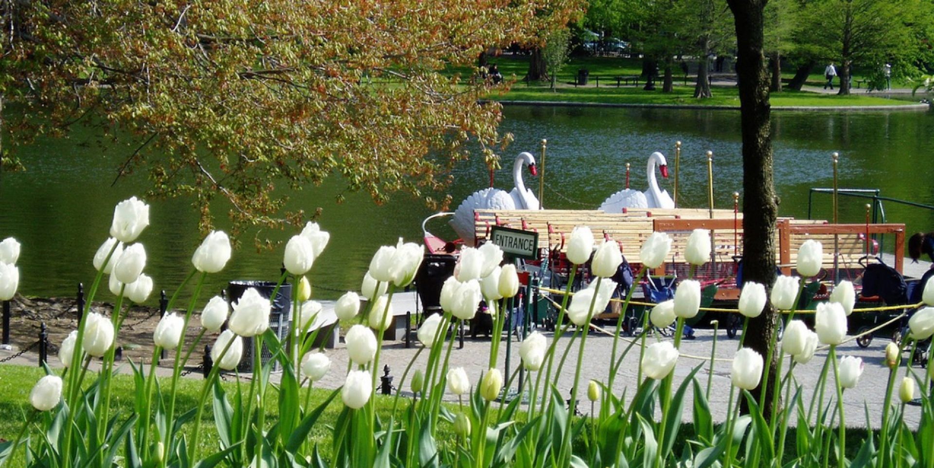 Boston Public Garden