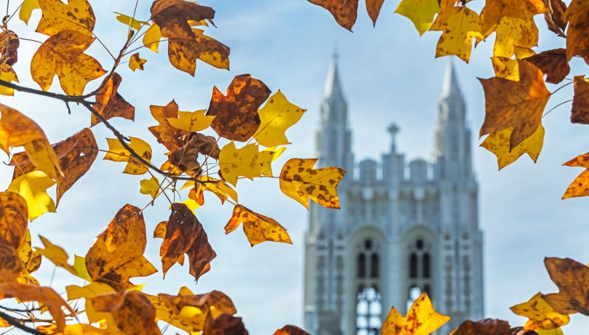 Fall-campus-carousel