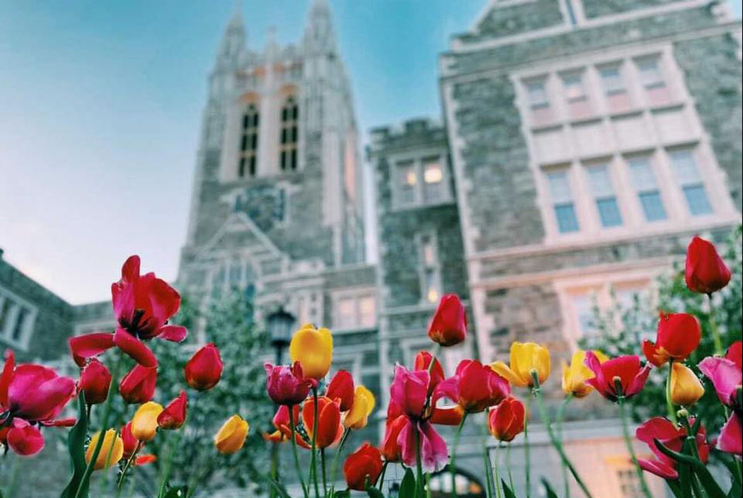 Red and yellow tulips infront of Gasson