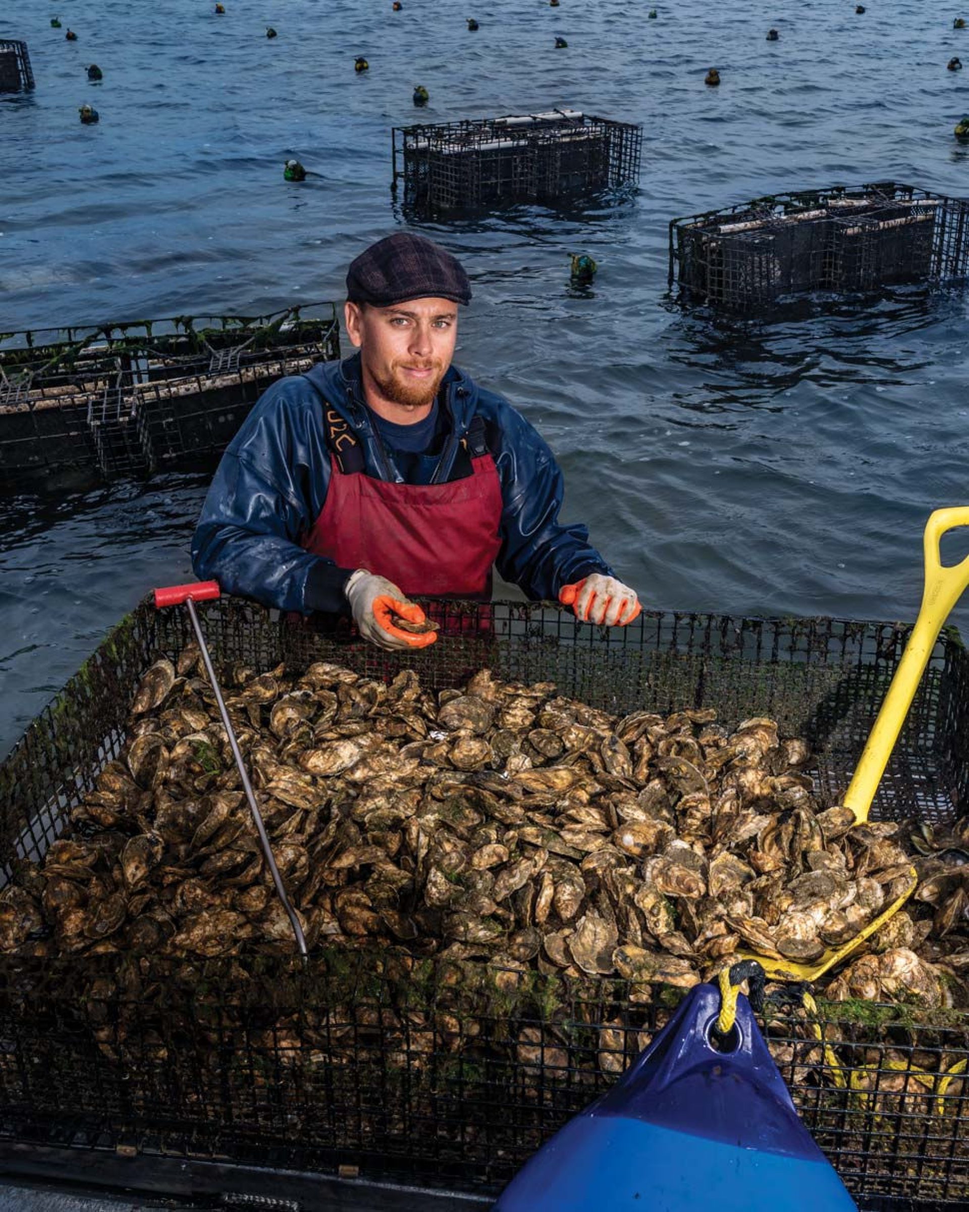 Kevin Dory hip deep in the water with a basket full of oysters