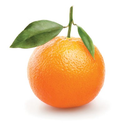 Photo of an orange