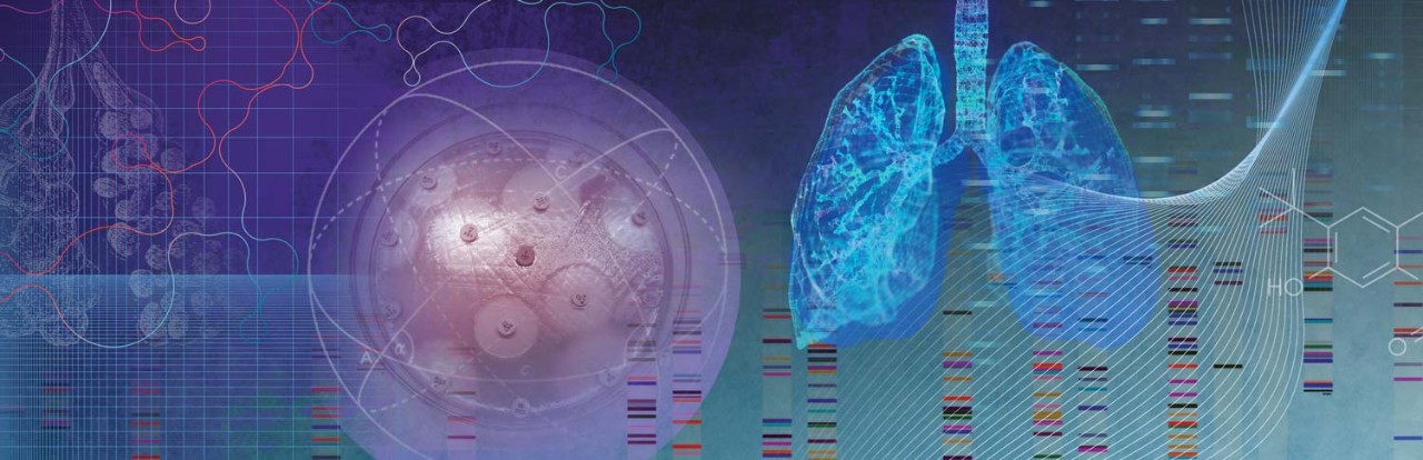 Illustration of drug and gentic research in relation to the lungs and CF