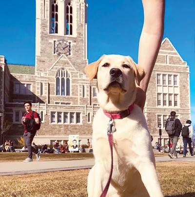 Molly on the quad