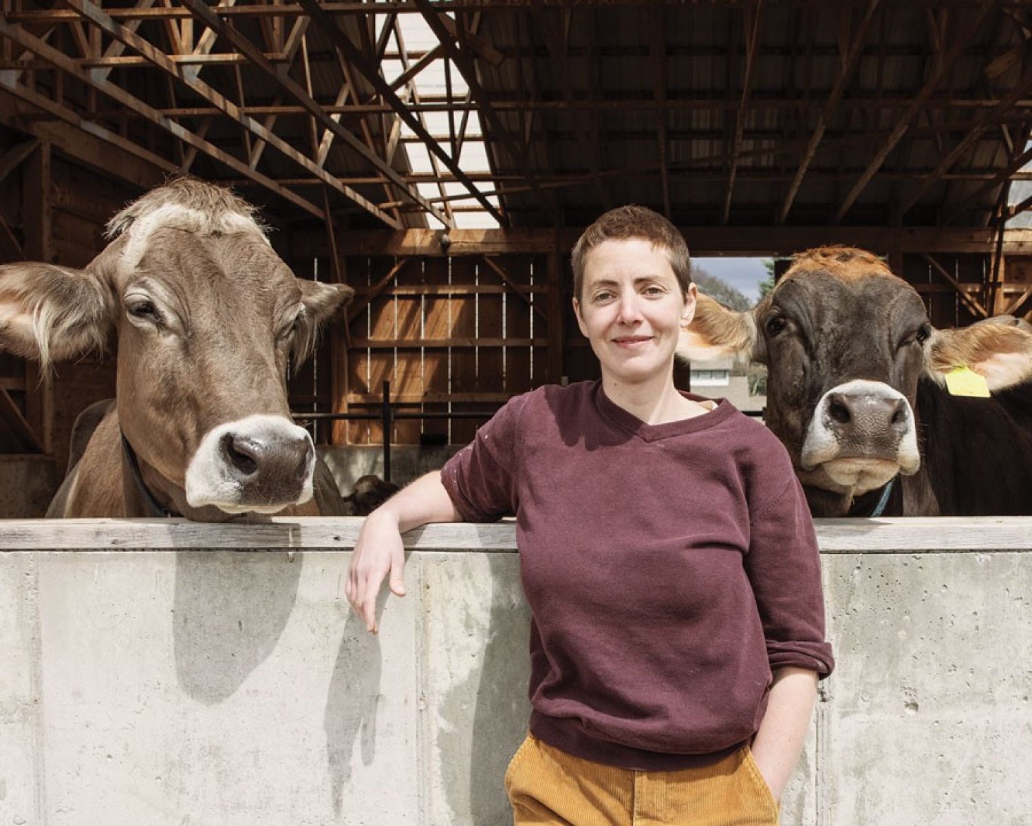 Casey Galligan with cows
