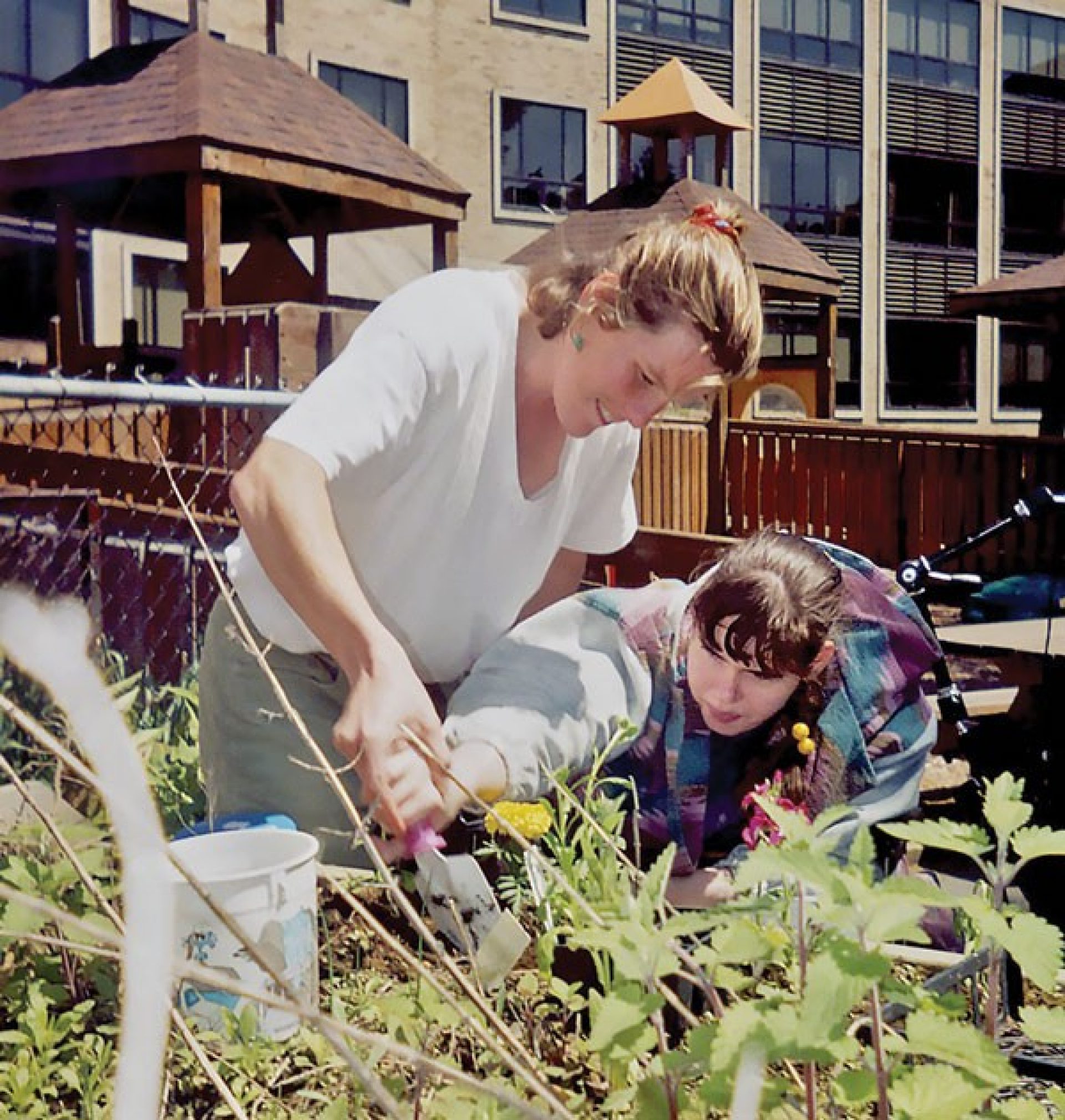 Teacher and student gardening