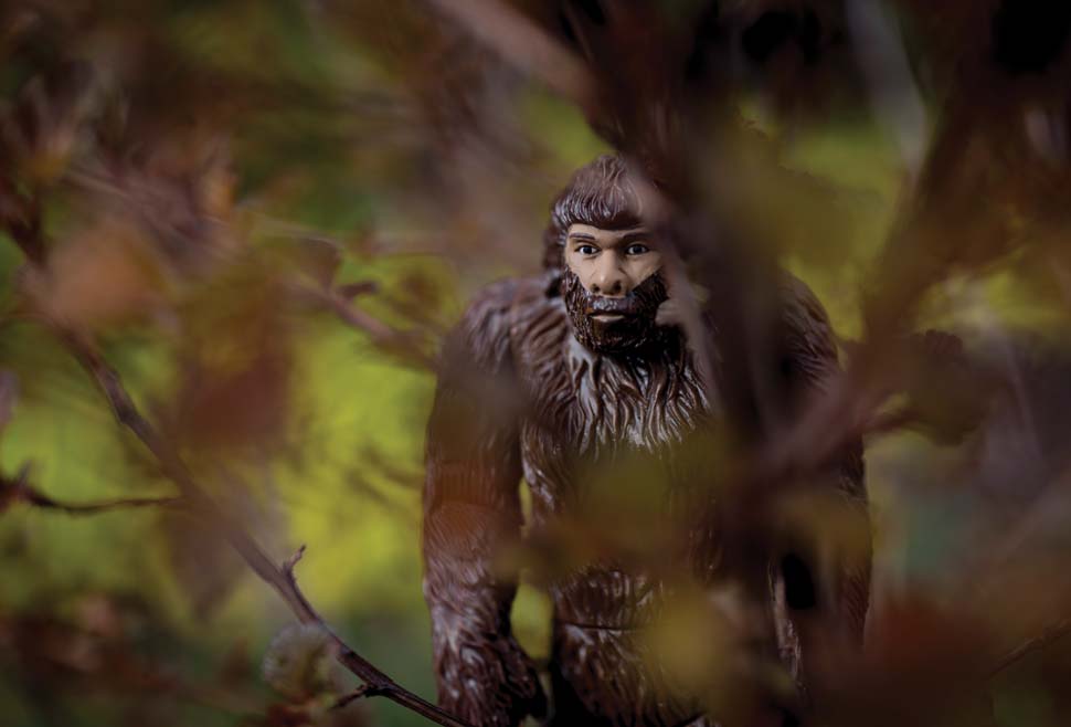 A toy Bigfoot figurine obscured by brush in the foreground.