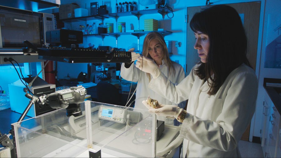 Denny in the lab