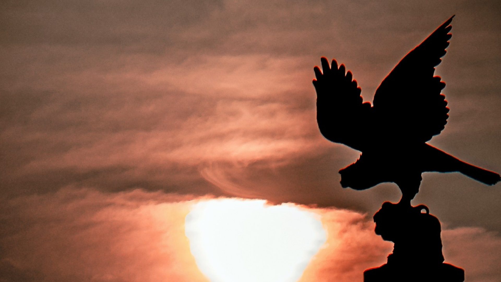 Eagle and Gasson tower