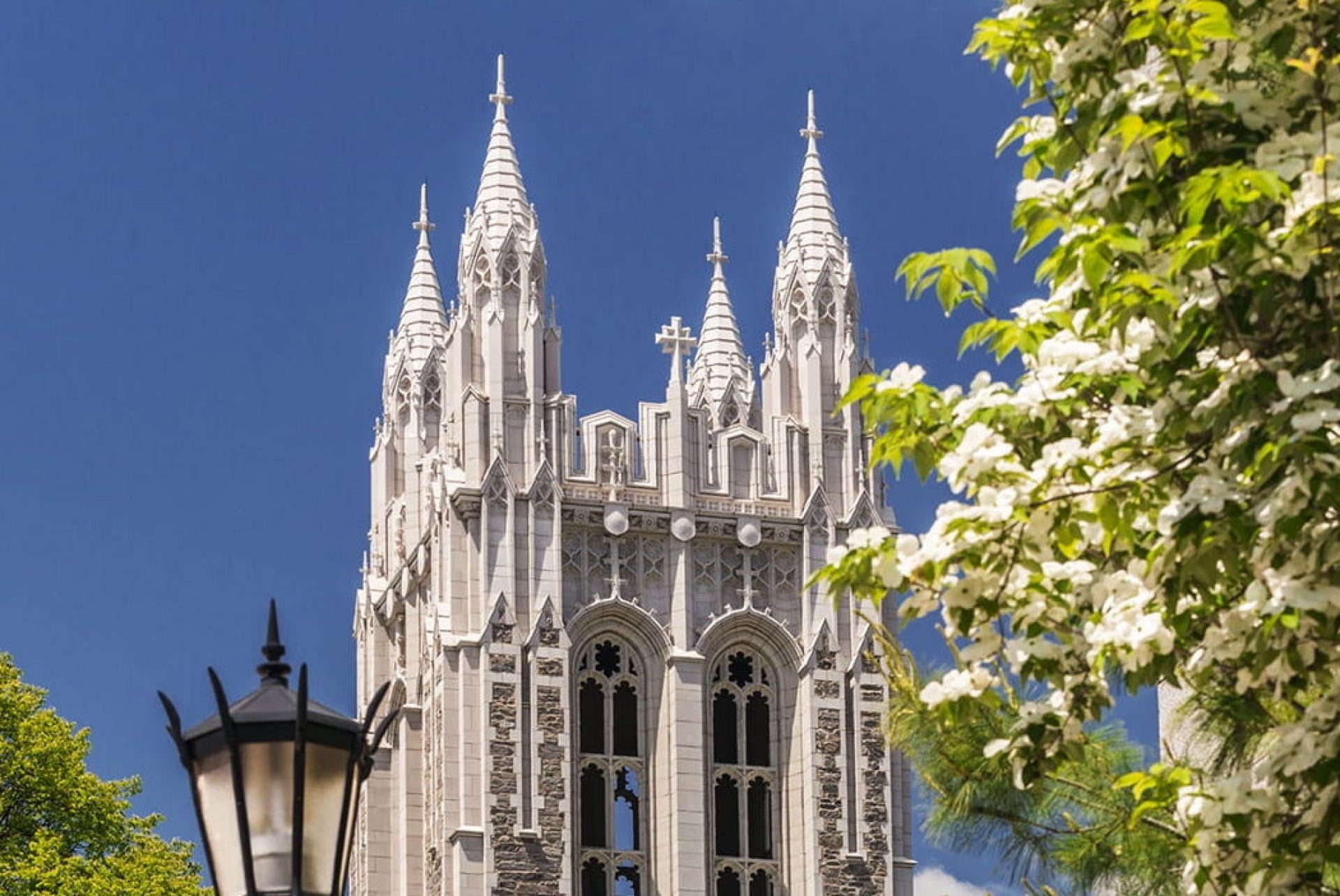 Gasson Hall with flowering tree