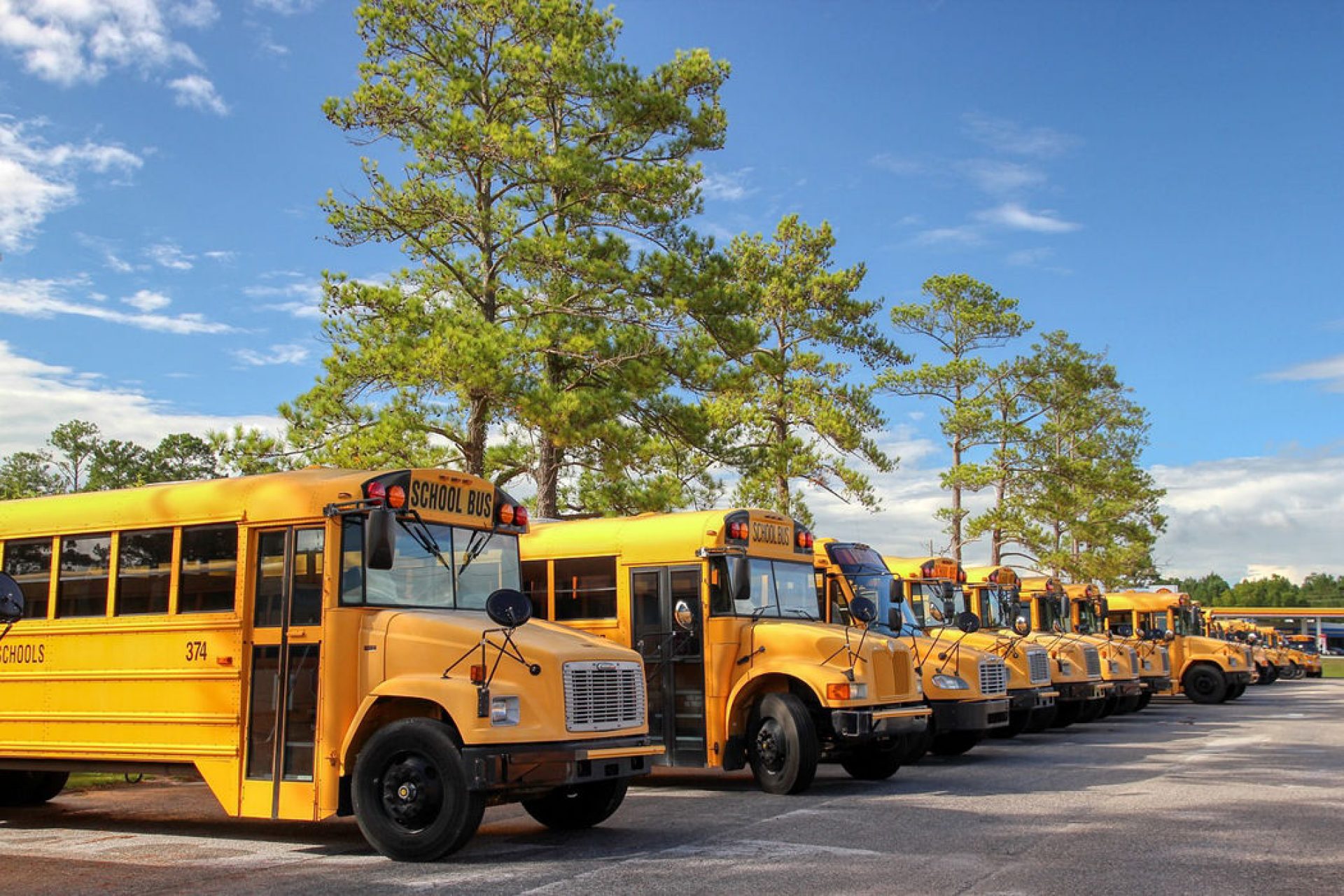 yellow school buses