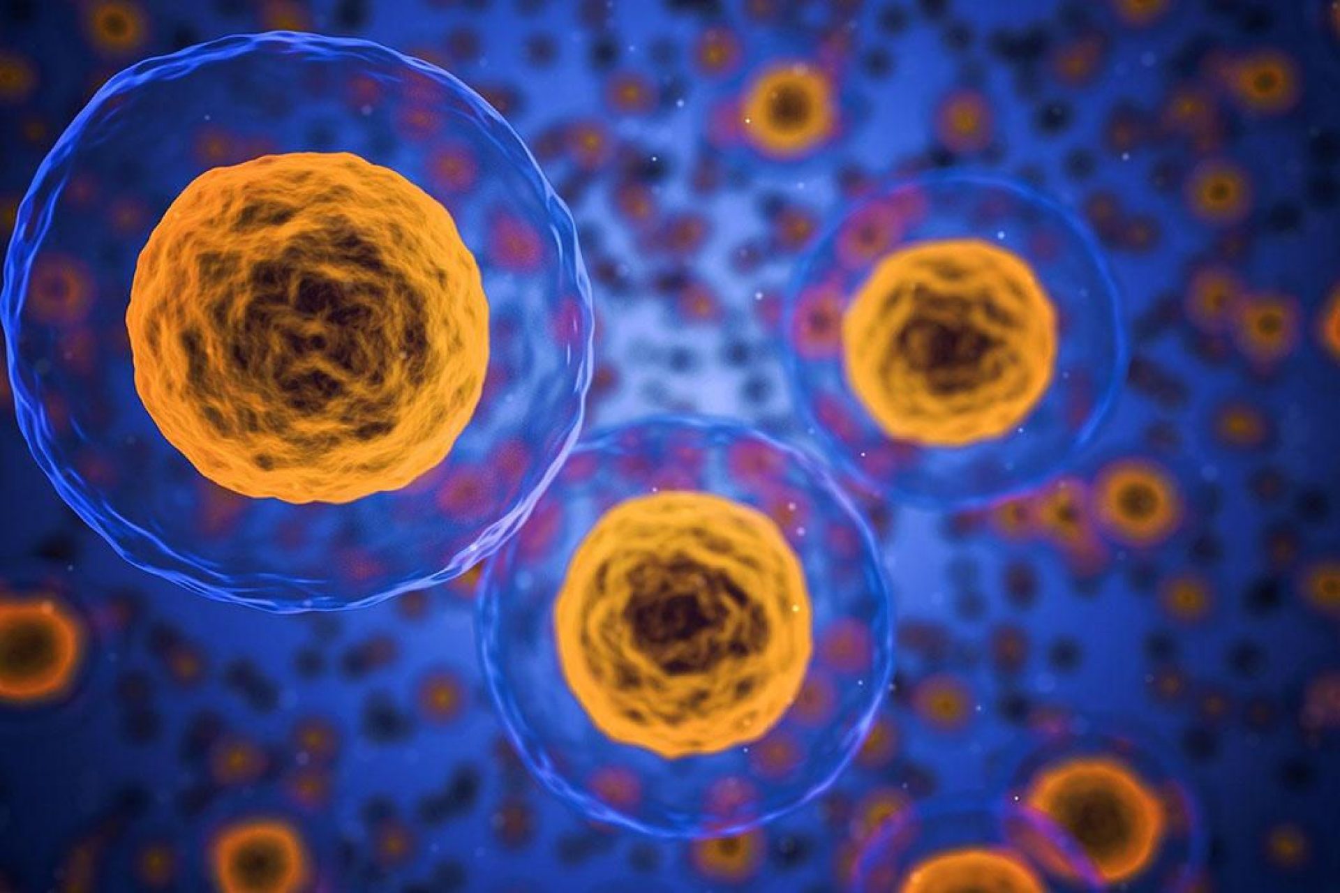 An illustration of human cells