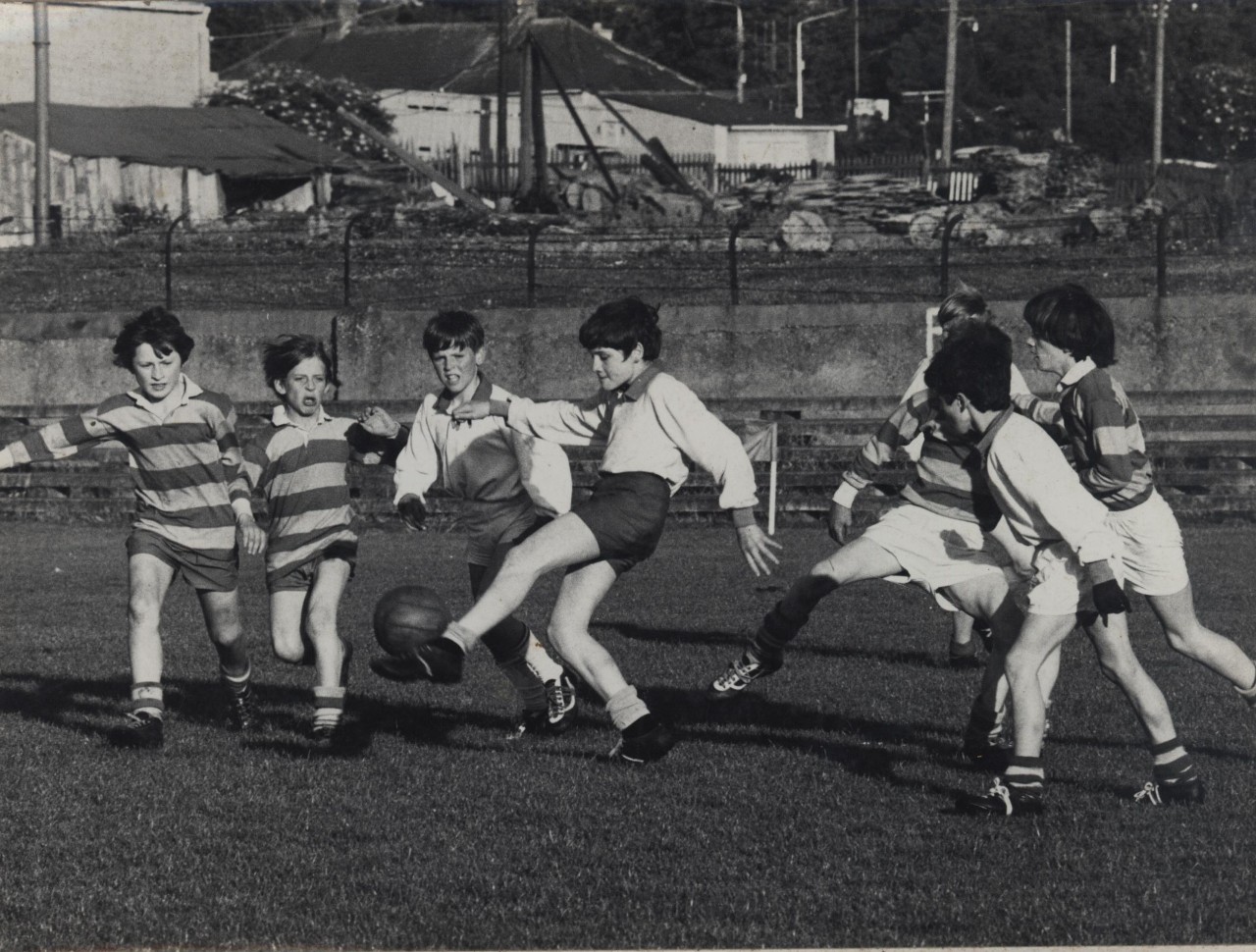 A group of kids playing soccer
