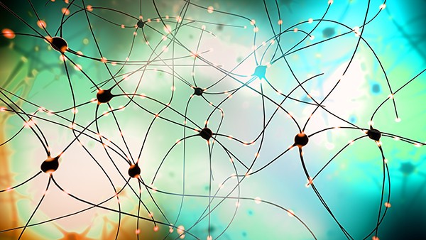 3d illustration of transmitting synapse,neuron or nerve cell