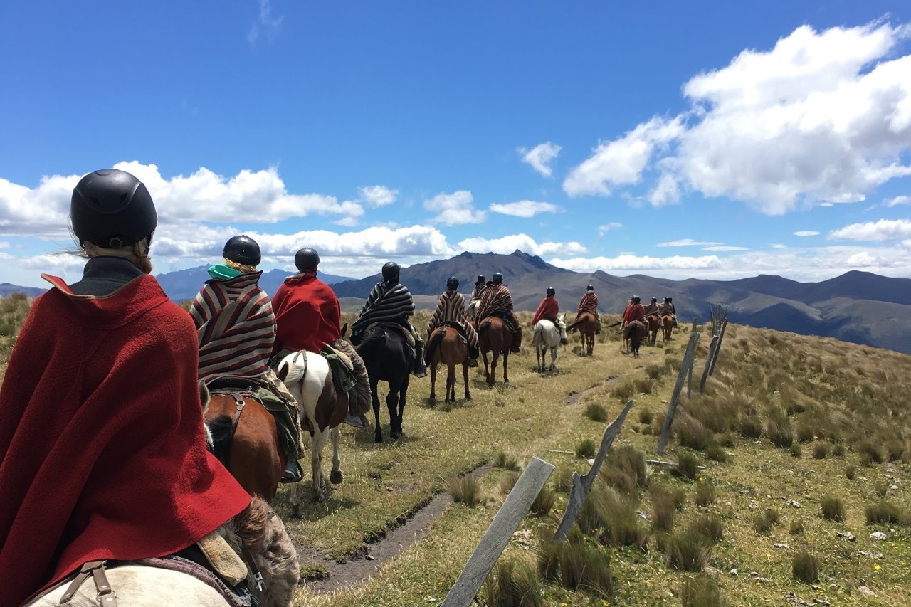 students riding horses in a line with mountains in background