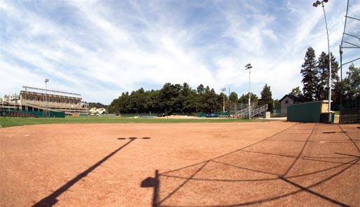 existing shea field