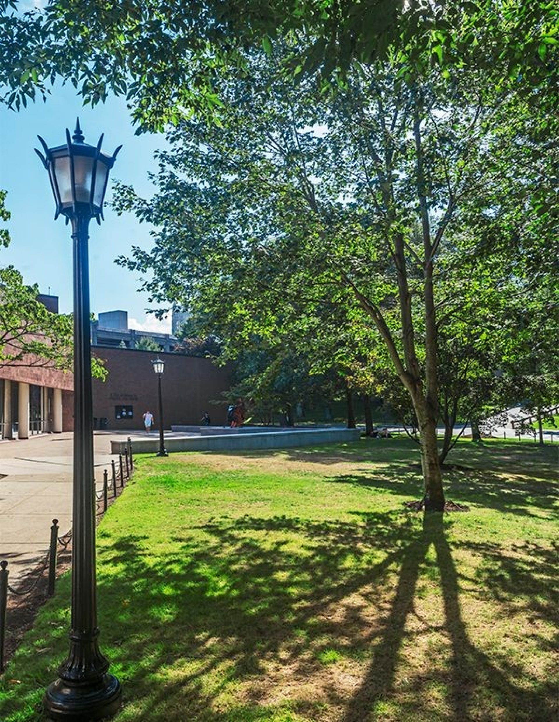 A lawn shaded by trees