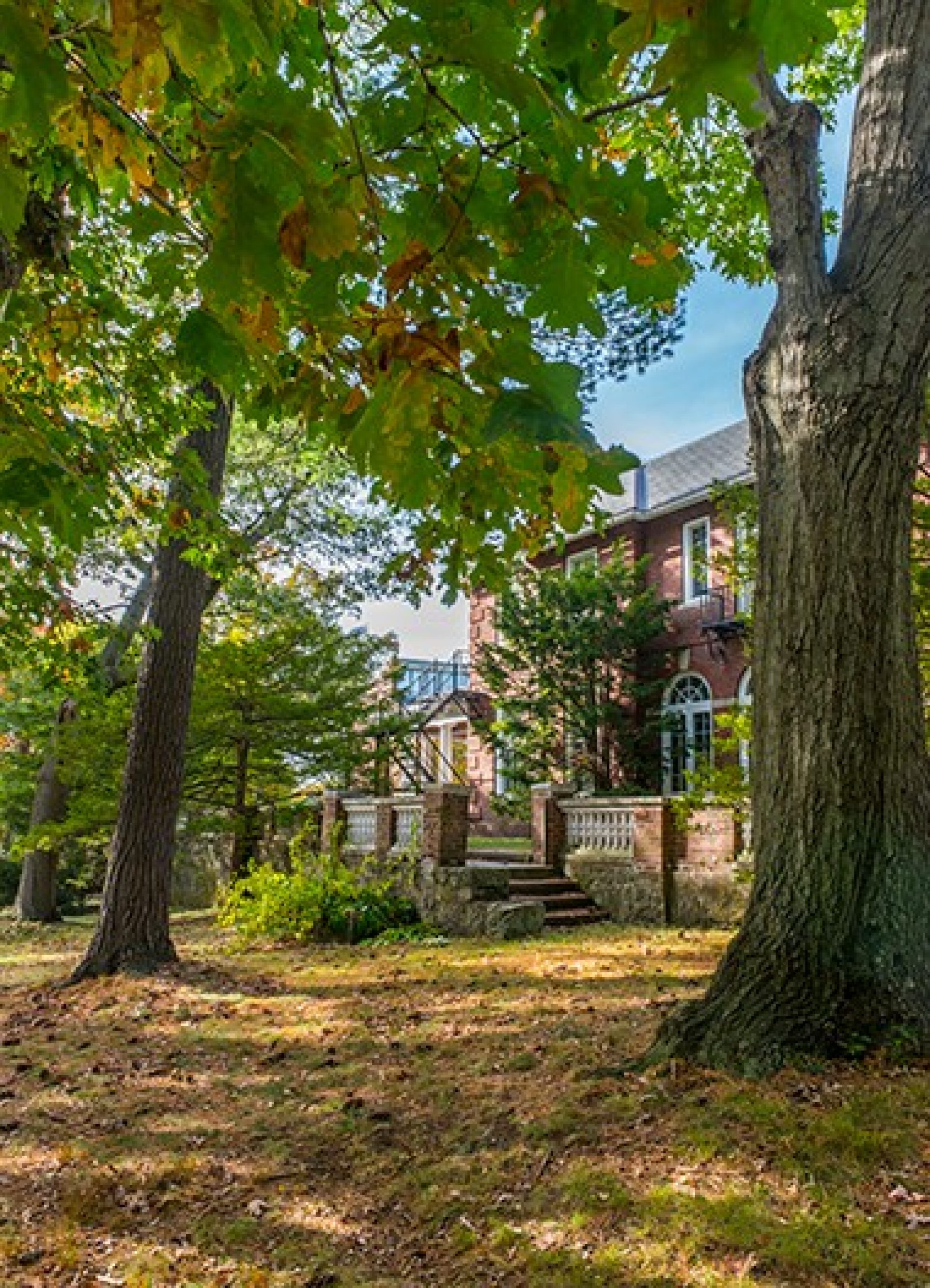 A shaded lawn behind a brick building