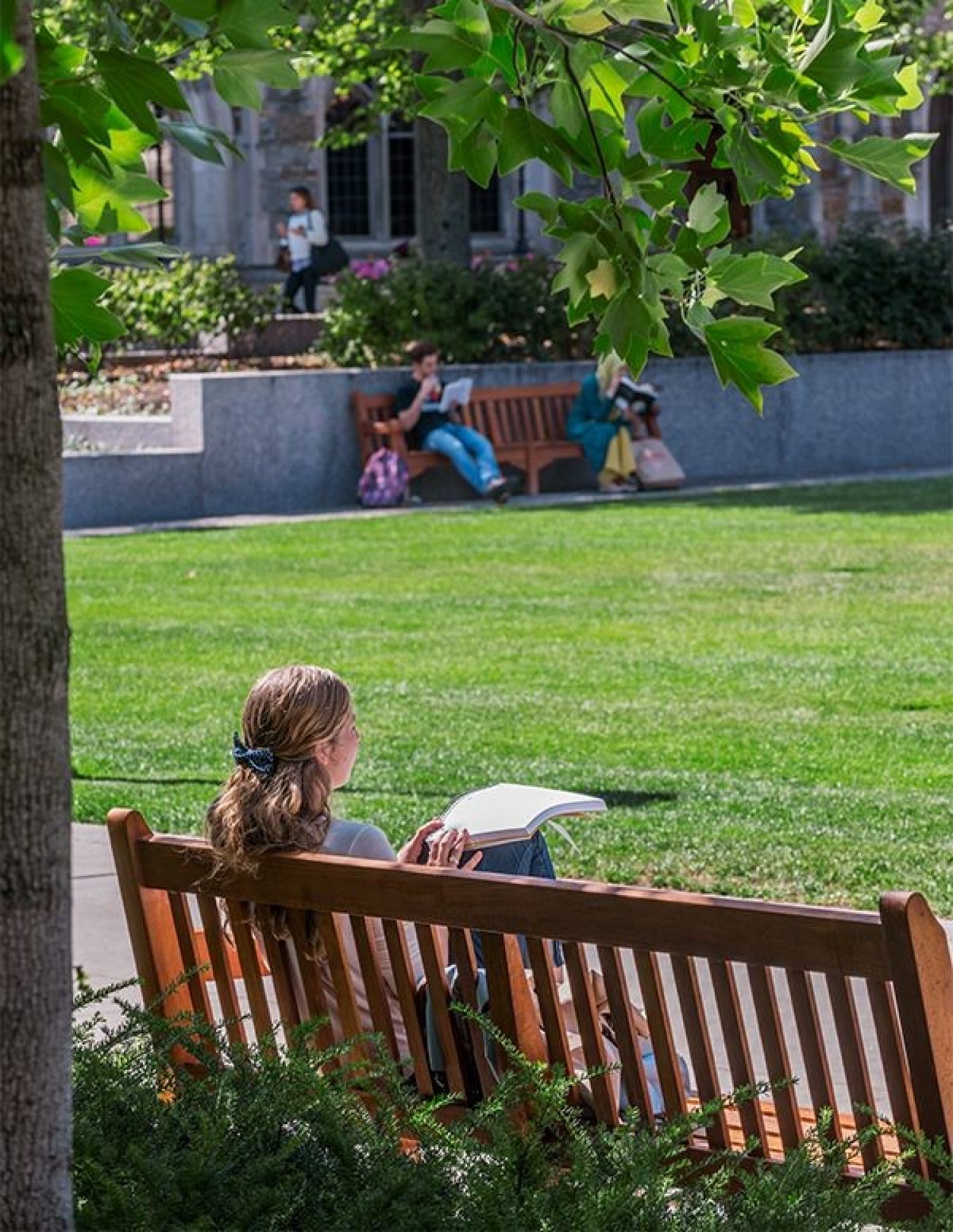 A student sitting on a bench