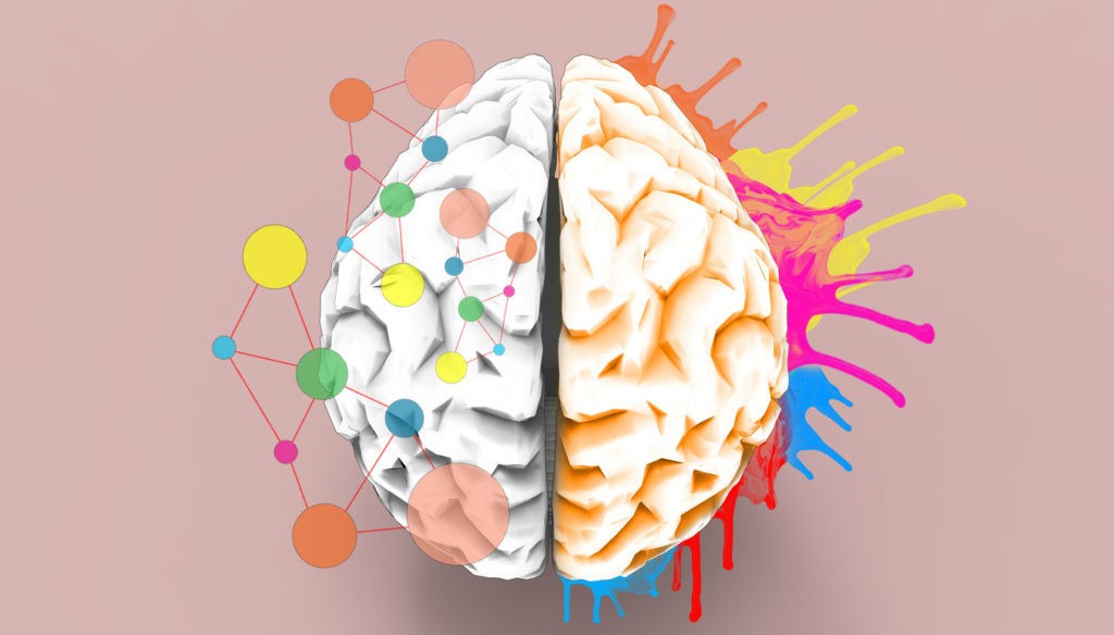 illustration of a artistic, colorful brain 