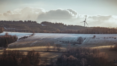 the-transition-to-net-zero-is-your-company-ready-bcccc-blog