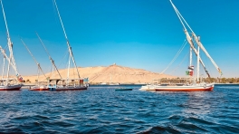 waste removal on the nile