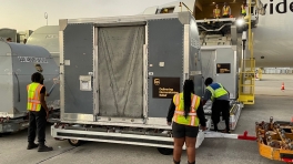 companies offer hurricane relief