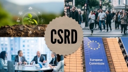 csrd eu - 1