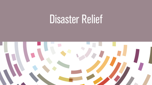 IssueBrief-DisasterRelief