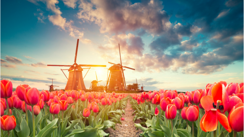countries that value CSR
